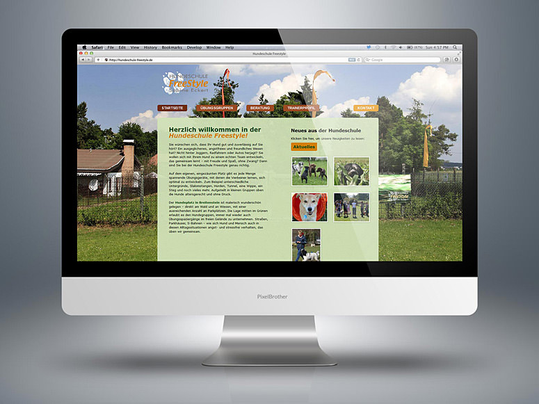 website obedience school